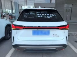 Lexus RX300  2024
