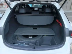 Lexus RX300  2024