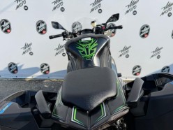 Kawasaki Ninja 1000  2015