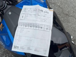 Suzuki GSX-8R  2024