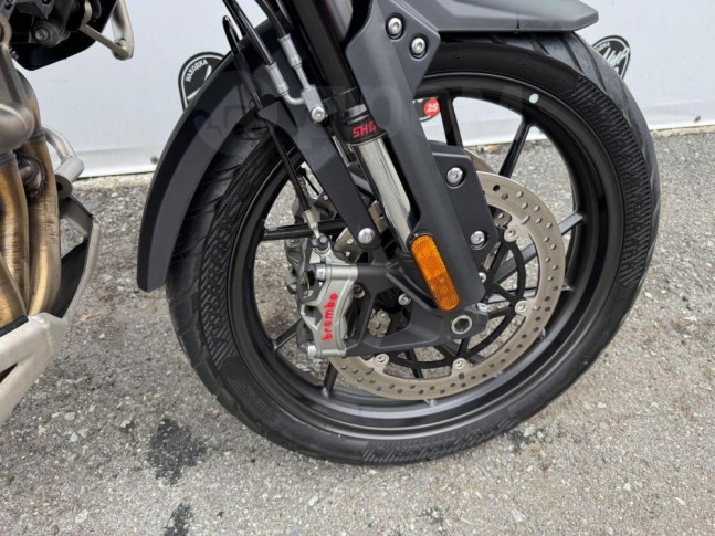 Triumph Tiger 1200  2023